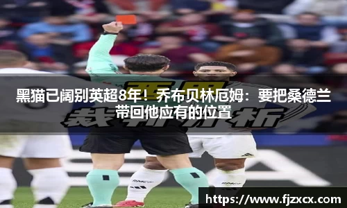 黑猫已阔别英超8年！乔布贝林厄姆：要把桑德兰带回他应有的位置