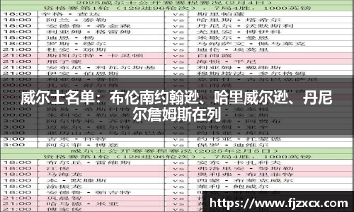 威尔士名单：布伦南约翰逊、哈里威尔逊、丹尼尔詹姆斯在列