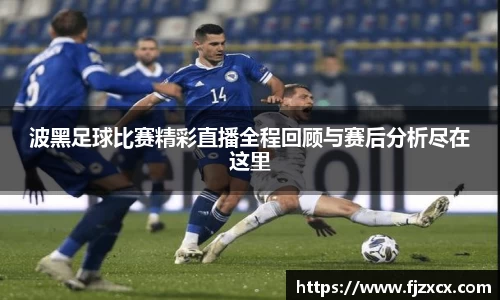 波黑足球比赛精彩直播全程回顾与赛后分析尽在这里