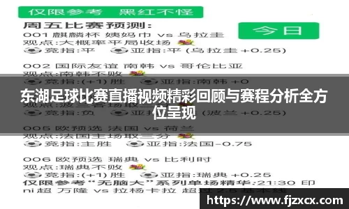东湖足球比赛直播视频精彩回顾与赛程分析全方位呈现