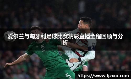 爱尔兰与匈牙利足球比赛精彩直播全程回顾与分析