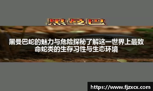 黑曼巴蛇的魅力与危险探秘了解这一世界上最致命蛇类的生存习性与生态环境