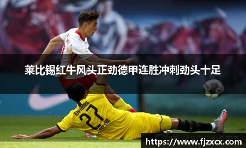 莱比锡红牛风头正劲德甲连胜冲刺劲头十足